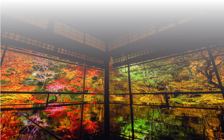 大自然が見える部屋