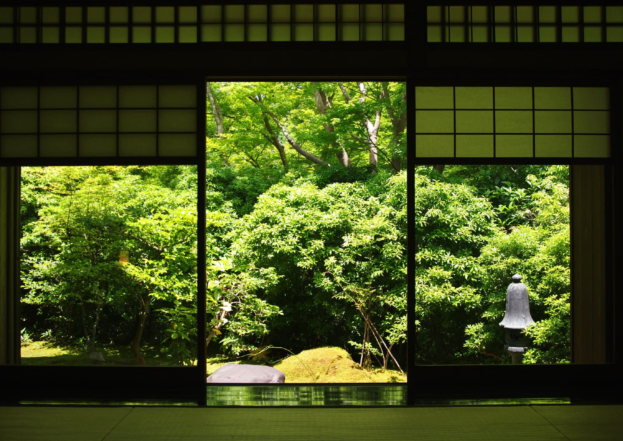 部屋から見る美しい自然